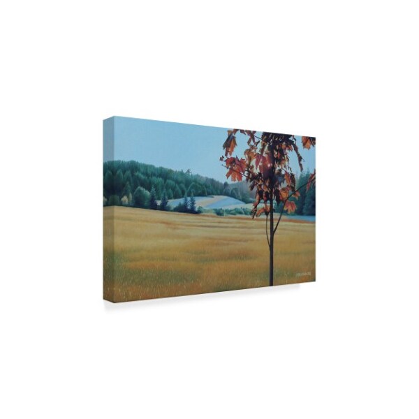 Ron Parker 'Autumn Maple' Canvas Art,16x24